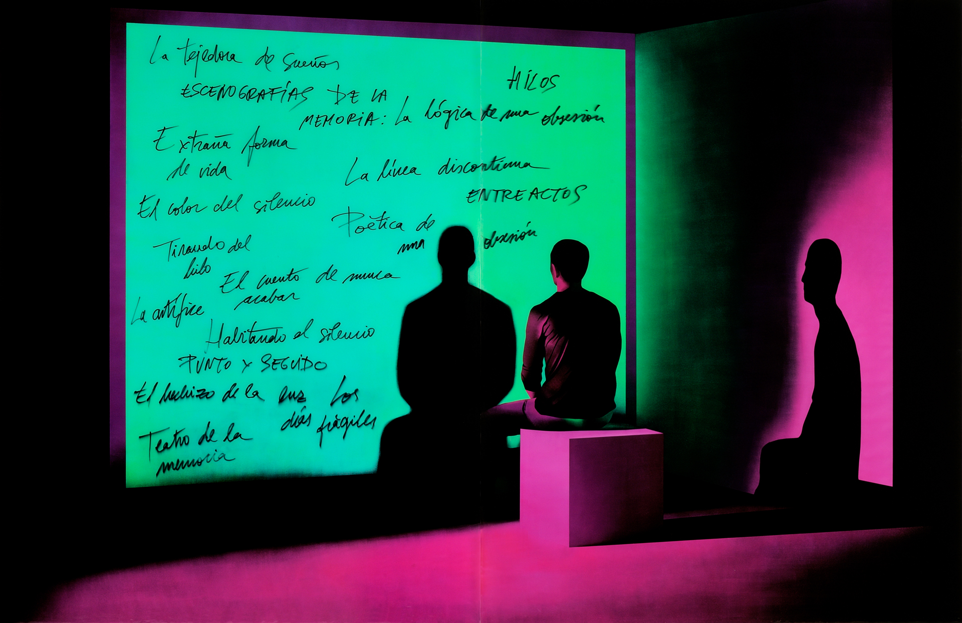20- Instalación. Escenografías de la memoria: la lógica de una obsesión. Centre d’Art Contemporani. Fundación Chirivella Soriano. Palau Joan de Valeriola. Valencia. 2008